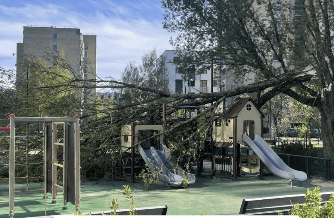 Tree breaks in half over children’s playground