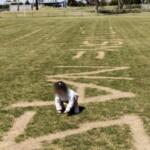 Traumatising Big message left burned into grass at children’s playground